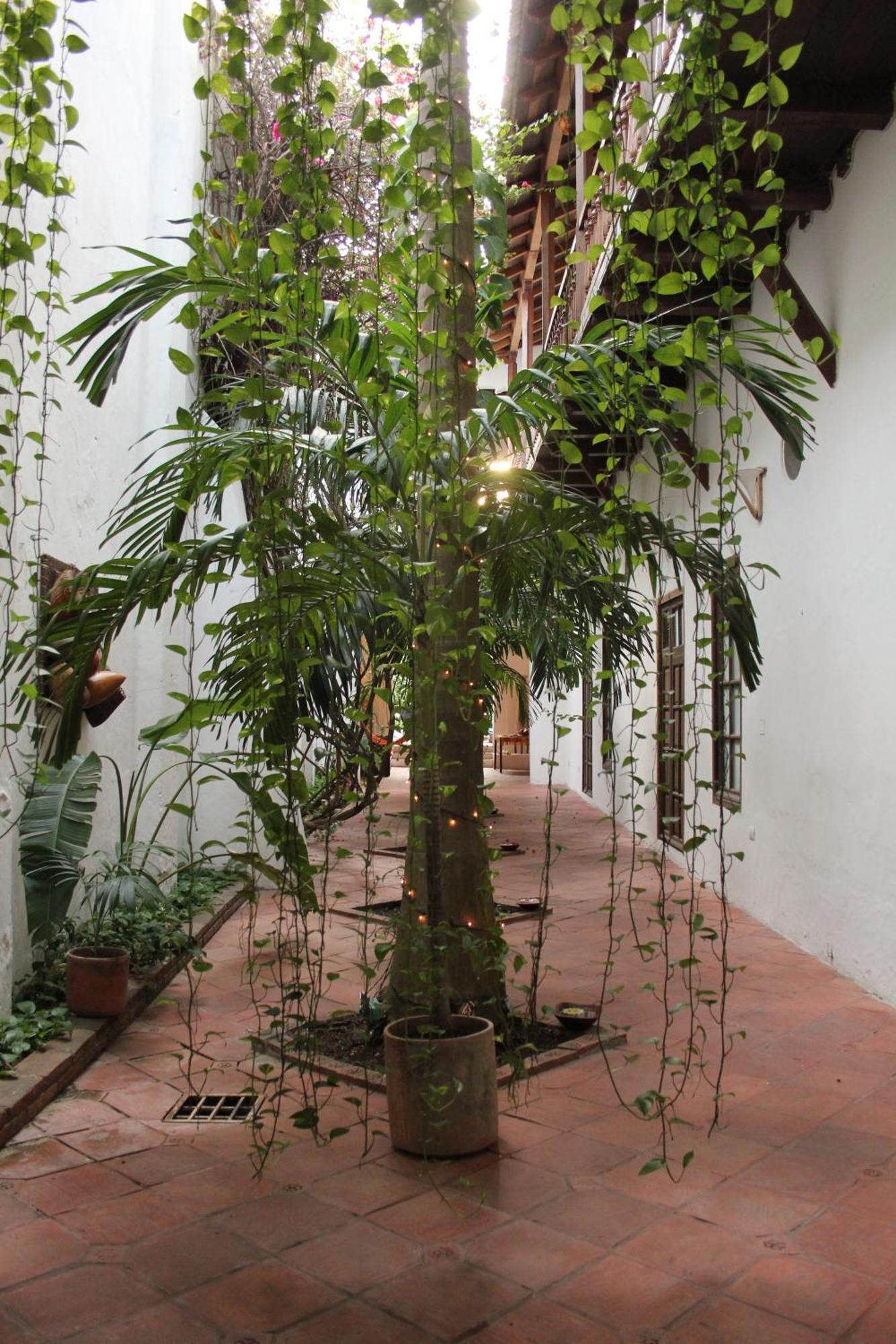 Casa Del Tejadillo Ξενοδοχείο Cartagena Εξωτερικό φωτογραφία