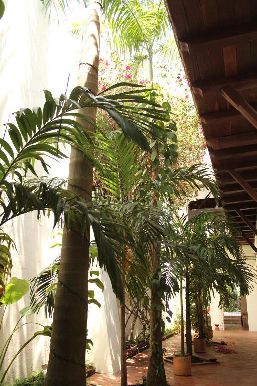 Casa Del Tejadillo Ξενοδοχείο Cartagena Εξωτερικό φωτογραφία